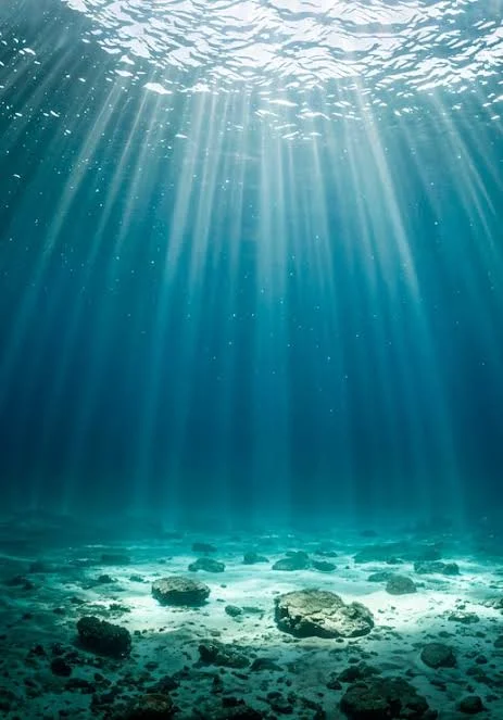 Laut dan Samudra yang Menyimpan Banyak Misteri Saat Ini
